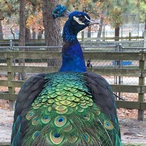 Meet your Posher, Colleen